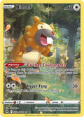 Bidoof GG29/GG70 (SWSH: Crown Zenith: Galarian Gallery)  - Holofoil