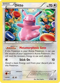 Ditto XY40 (XY Promos)  - Holofoil