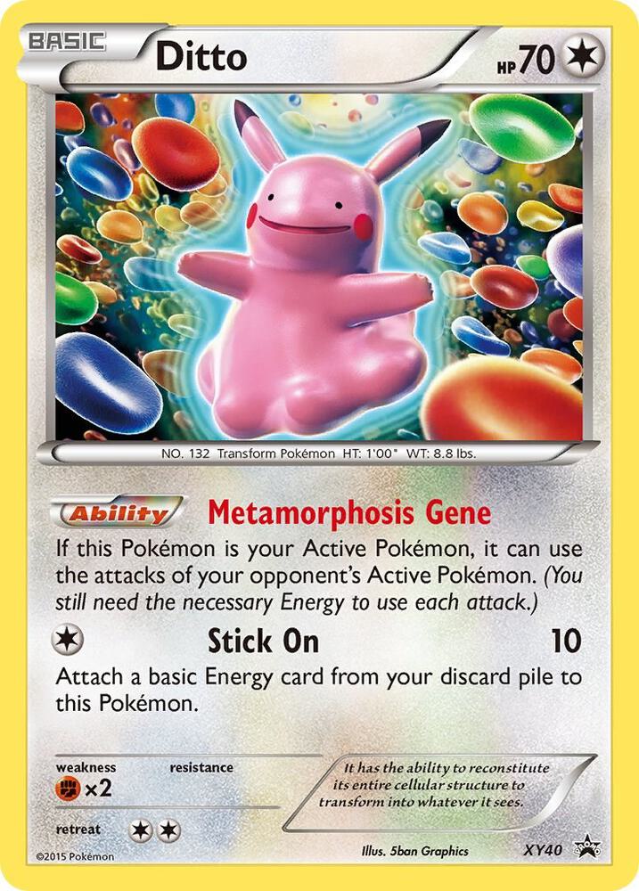 Ditto XY40 (XY Promos)  - Holofoil